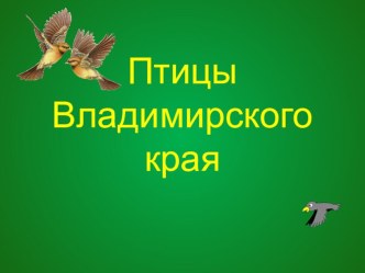 презентация для детей Птицы Владимирского края презентация к уроку (старшая, подготовительная группа)