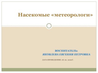 Презентация Насекомые – метеорологи. презентация к уроку по окружающему миру (подготовительная группа)