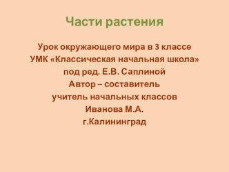 Органы растения презентация к уроку по окружающему миру