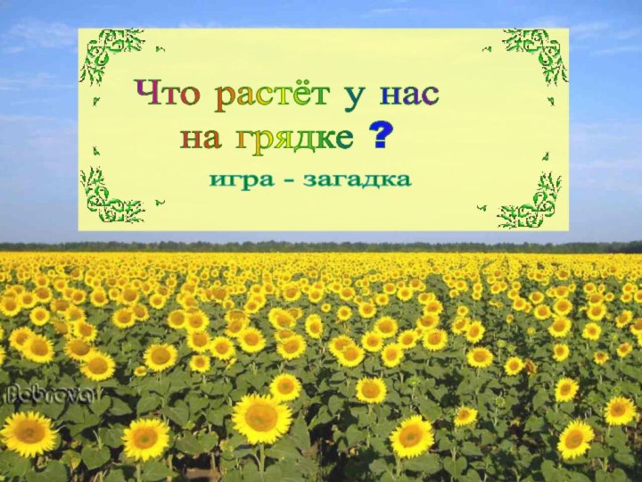 Что растёт у нас на грядке ?игра - загадка