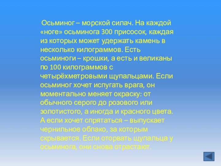 Осьминог – морской силач. На каждой «ноге» осьминога 300 присосок, каждая