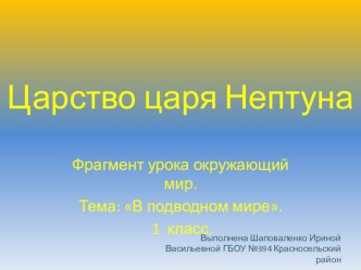 Презентация В подводном мире презентация к уроку по теме