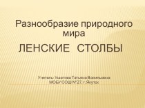 Разнообразие природного мира. Ленские Столбы. Окружающий мир. презентация к уроку по окружающему миру