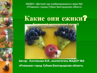 Такие разные ёжики презентация к занятию по конструированию, ручному труду (старшая группа)
