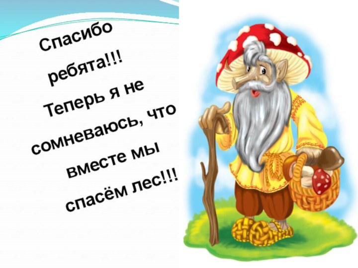 Спасибо ребята!!!Теперь я не сомневаюсь, что вместе мы спасём лес!!!