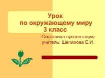 Приложение 3. Презентация урока Как нам жить в дружбе с природой презентация к уроку по теме