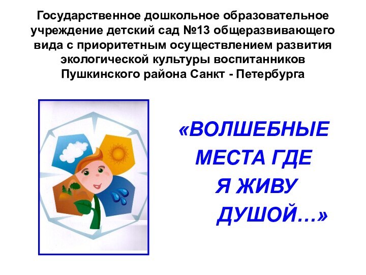 Государственное дошкольное образовательное учреждение детский сад №13 общеразвивающего вида с приоритетным осуществлением