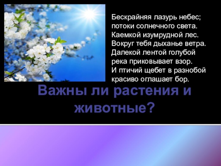 Важны ли растения и животные?Бескрайняя лазурь небес; потоки солнечного света. Каемкой изумрудной