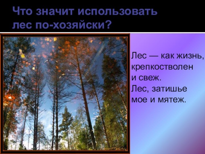 Что значит использовать  лес по-хозяйски?Лес — как жизнь, крепкостволен