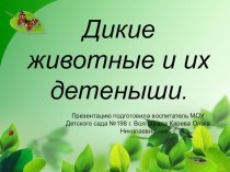 Презентация Дикие животные и их детеныши презентация к уроку по окружающему миру (младшая, средняя группа)