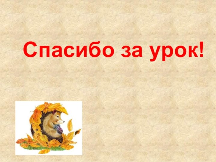 Спасибо за урок!