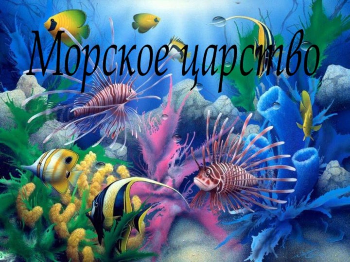 Морское царство