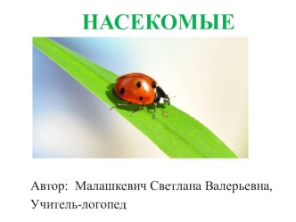 лексическая тема Насекомые презентация к занятию по развитию речи (старшая группа)