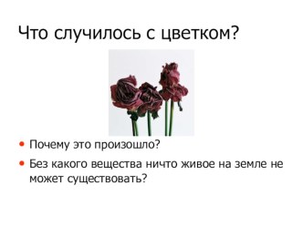 Жизненная сила воды презентация к уроку по окружающему миру (3 класс) по теме