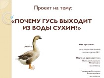 ПОЧЕМУ ГУСЬ ВЫХОДИТ ИЗ ВОДЫ СУХИМ? проект (подготовительная группа)