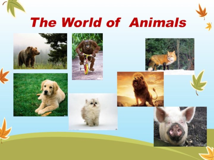 The World of Animals