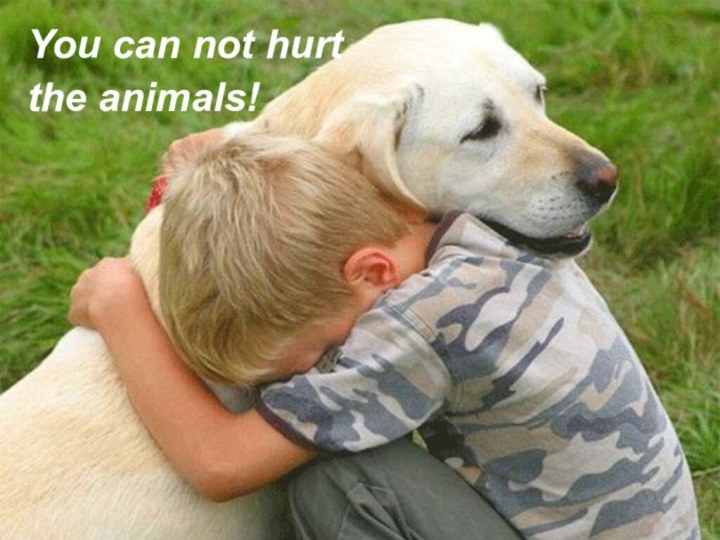 You can not hurtthe animals!