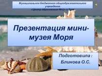 Мини-музей моря презентация к уроку по окружающему миру (старшая, подготовительная группа)