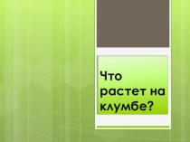 Презентация Что растет на клумбе? презентация к уроку по окружающему миру