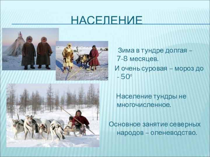 НАСЕЛЕНИЕ   Зима в тундре долгая – 7-8 месяцев.  И