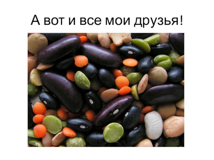 А вот и все мои друзья!