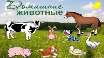 Интерактивная игра Домашние животные компьютерная программа по окружающему миру (младшая группа)