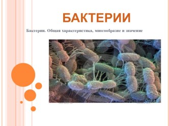 Презентация Бактерии 3 класс презентация к уроку по окружающему миру (3 класс)