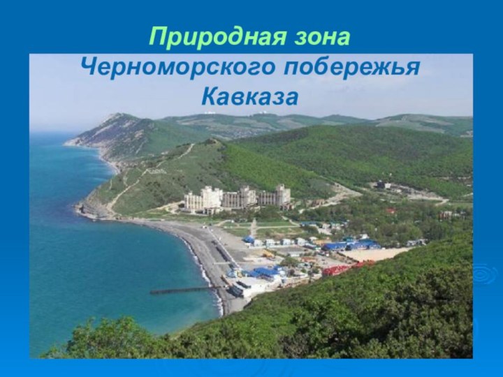 Природная зона Черноморского побережья Кавказа