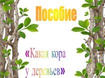 Наглядное пособие Какая кора у деревьев методическая разработка по теме