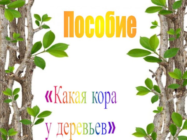 Пособие«Какая кора у деревьев»