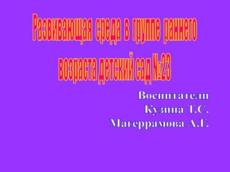 Аналитическая справка Создание развивающей предметно-пространственной среды в соответствии с ФГОС ДО материал (младшая группа)