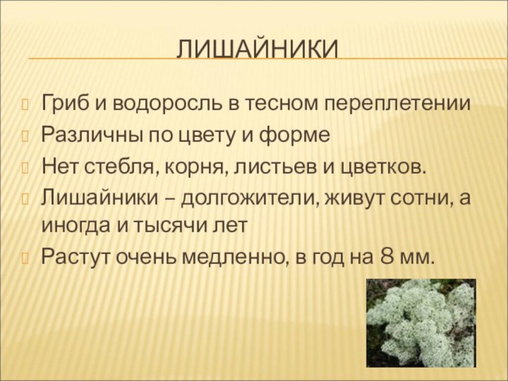 ЛИШАЙНИКИГриб и водоросль в тесном переплетенииРазличны по цвету и формеНет стебля, корня,