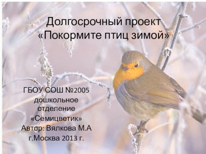 Долгосрочный проект «Покормите птиц зимой»ГБОУ СОШ №2005 дошкольное отделение «Семицветик» Автор: Вялкова М.А г.Москва 2013 г.