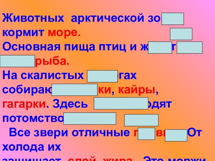 Животных арктической зоны кормит море. Основная пища птиц и животных – это