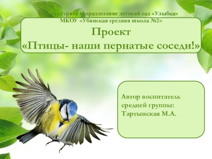 Структурное подразделение детский сад «Улыбка» МКОУ «Убинская средняя школа №2»  Проект «Птицы-