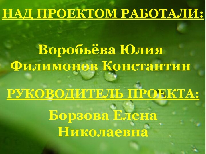 НАД ПРОЕКТОМ РАБОТАЛИ:Воробьёва ЮлияФилимонов КонстантинРУКОВОДИТЕЛЬ ПРОЕКТА:Борзова Елена Николаевна