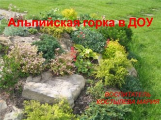 Альпийская горка консультация