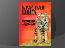 Презентация Красная книга презентация к уроку по окружающему миру (старшая, подготовительная группа)