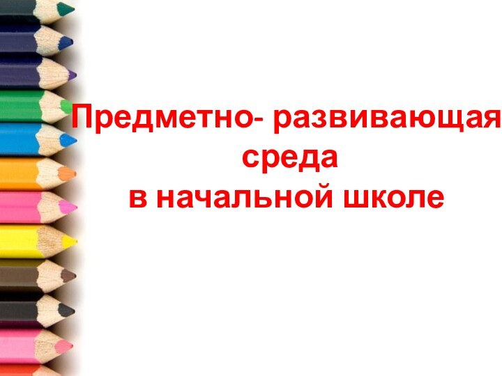 Предметно- развивающая  среда  в начальной школе