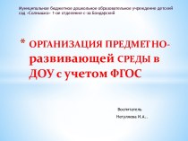 ОРГАНИЗАЦИЯ ПРЕДМЕТНО-РАЗВИВАЮЩЕЙ СРЕДЫ в ДОУ с учетом ФГОС проект