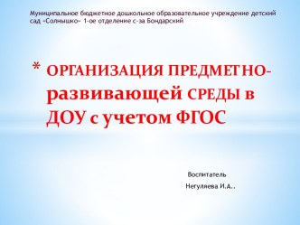 ОРГАНИЗАЦИЯ ПРЕДМЕТНО-РАЗВИВАЮЩЕЙ СРЕДЫ в ДОУ с учетом ФГОС проект
