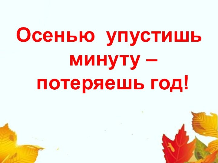 Осенью упустишь минуту – потеряешь год!