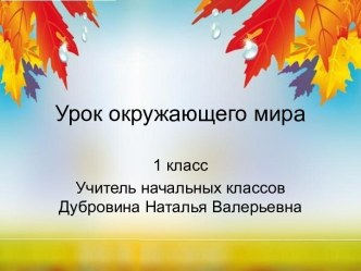 Урок в 1 классе Как птицы и животные готовятся к зиме по УМК Начальная школа 21 века план-конспект урока по окружающему миру (1 класс) по теме