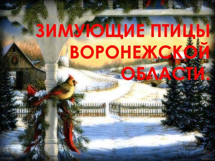 ЗИМУЮЩИЕ ПТИЦЫ ВОРОНЕЖСКОЙ ОБЛАСТИ..