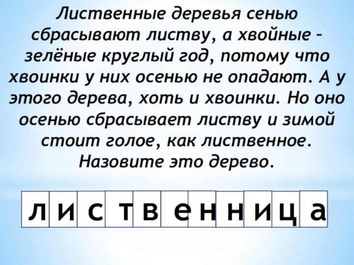 Лиственные деревья сенью сбрасывают листву, а хвойные – зелёные круглый год, потому