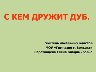 С кем дружит дуб презентация к уроку по окружающему миру (2 класс)