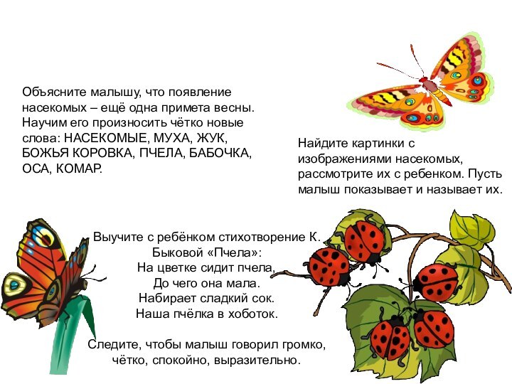 Объясните малышу, что появление насекомых – ещё одна примета весны. Научим его