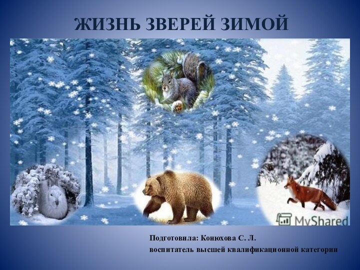 ЖИЗНЬ ЗВЕРЕЙ ЗИМОЙПодготовила: Конюхова С. Л. воспитатель высшей квалификационной категории