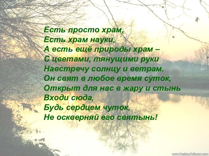 Есть просто храм,Есть храм науки,А есть ещё природы храм –С цветами, тянущими