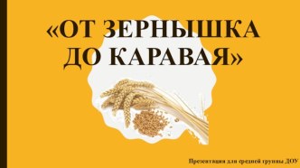 От зернышка до каравая презентация к уроку по окружающему миру (средняя группа)